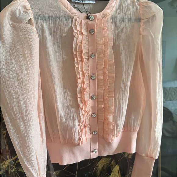 ZARA Sheer Blush Blouse | Crystal Flower Buttons Knit Waist /Romantic - Picture 4 of 10